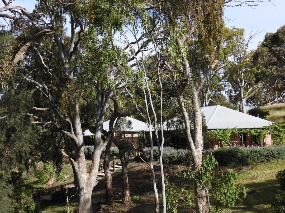 Battunga Cottages Watervale Exteriör bild